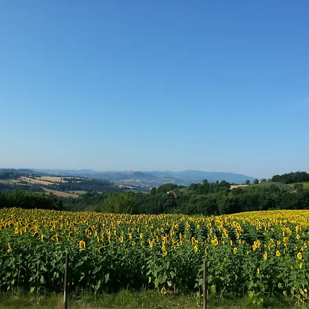 Il Borghetto *