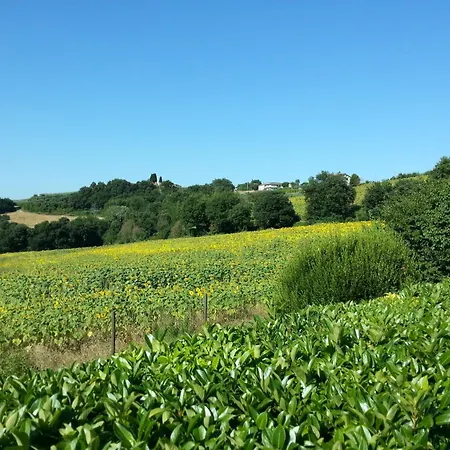 Il Borghetto Farm stay *